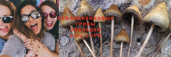 не бодяженный Бронницы